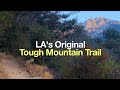 Mt Wilson Trail Hike - HikingGuy.com