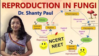 Reproduction in fungi | Life cycle of fungi