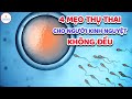 4 Mẹo thụ thai cho người kinh nguyệt không đều