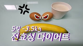 5일 전효성 다이어트 하기 (-3.5KG , 초고도비만)