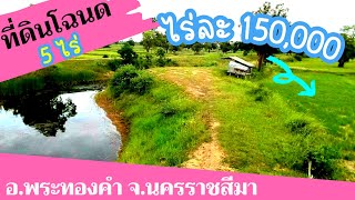 มาดามโอ๋ | ขายที่ดินโฉนด 5 ไร่ ราคาถูก ไร่ละ 150,000 อ.พระทองคำ #นครราชสีมา