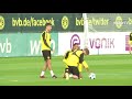 borussia dortmund aubameyang goes k.o