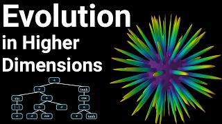 Evolution in Higher Dimensions