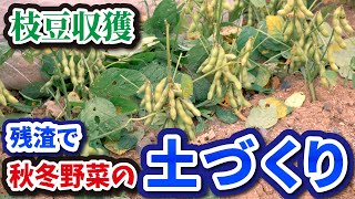 夏野菜の残渣で、失敗しない ふかふか土づくり【家庭菜園】【夏野菜】