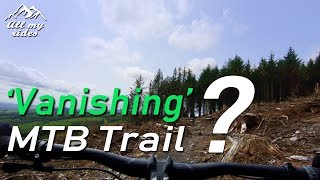 Riding my Swoop 8.0 at Boardwalk MTB Trail, Ballinastoe | Mountain Biking Ireland