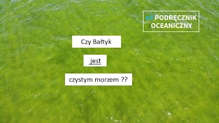 Czy Bałtyk jest czystym morzem? || Niepodręcznik Oceaniczny odc. 173