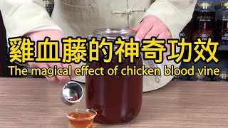 雞血藤的功效作用 The efficacy of Millettia reticulata