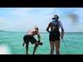 chasing tarpon along the emerald coast