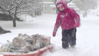 Winter Storm Jonas