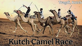 Camel Race in Kutch Gujarat