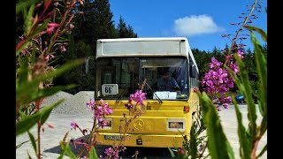 Sofia Buses | Goodbye, Mercedes-Benz Türk o302T! 🚌