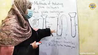 Methods For Isolating Pure Culture( Part 1) Streak Plate Technique || Zoology