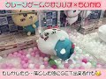 【クレーンゲーム】ちいかわ×サンリオキャラクターズ♡大人気商品で品薄！！取れるまでチャレンジ！ クレーンゲーム ちいかわ サンリオ