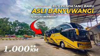 BERAPA JAM JAKARTA BANYUWANGI??  - BUS \