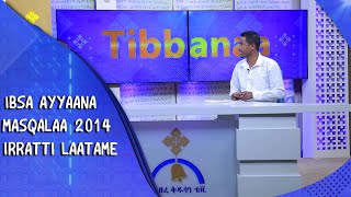 MK TV: Ibsa Ayyaana  masqalaa 2014 Irratti Laatame