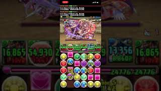 【パズドラ】極限の闘技場1 覚醒バステトパーティー