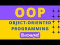 OOP (Object Oriented Programming) | Sinhala
