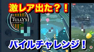 【ポケモンGO】激レア？！パイルでしょ！