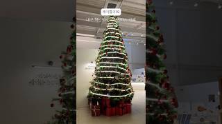 🦄대구에서 가장 큰 크리스마스 트리가 있는 카페🎄혁신도시 레이틀리92