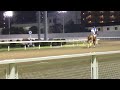 2018.10.15 川崎🐎11r セイエイシャルム u0026寺島憂人騎手 返し馬