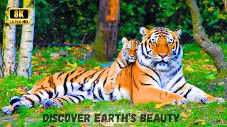 Discovering Earth's Beauty: A Journey Through Nature's Treasures