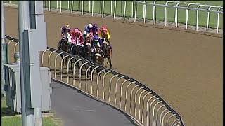 20190929 Hollywood Bets Greyville express clip Race 4 won by CHARLIE MCCREEVY