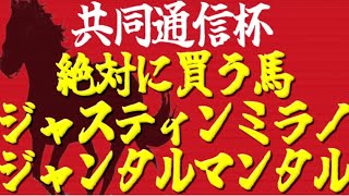 【共同通信杯2024】いざクラシックの主役へ！\