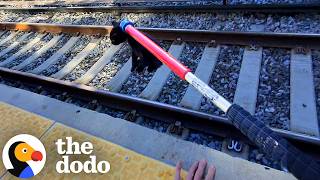 Guy Keeps Saving Animals Until There's One He Can't Part With | The Dodo