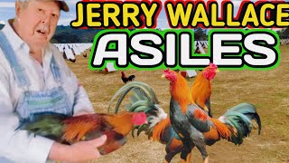 Jerry wallace "Historia De Sus Asiles" 💥💥💥🐓🐓🐓🔥🔥