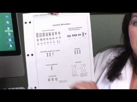 How many chromosomes are in brain cells?