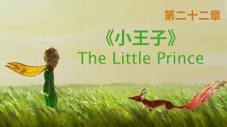 小王子 The Little Prince｜第二十二章｜每个人都曾经是个孩子，献给儿童时代的我们｜中文版朗读