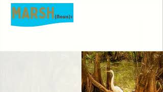 MARSH | Dictionary| Thesaurus| Vocabulary| Synonyms|Word| Meaning| English| Language|