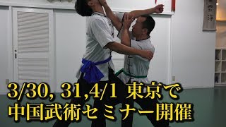 宮平保先生の中国武術を学ぼう！東京セミナー開催！