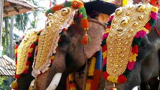 Thonnurkkara Emoor pooram 2019 Trailor