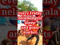 every friday nelamangala sheep and goats market@ agrianimals subscribe agrianimals