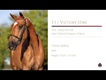 11 Callaho Victory Star (Victory/Embassy I/Elger I/Westgote/Goldstein)