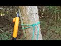 Camping Wilderness Survival Tips - Bushcraft Gear Hanger / Building a Shelter