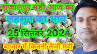 September 25, 2024 शुजालपुर मंडी आज का लहसुन का भाव | Aaj Ka Lahsun Ka Bhav|Today Garlic Rate