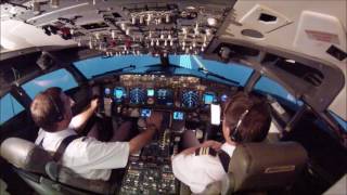 B738 Low speed Rejected Takeoff demo