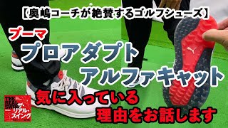 【奥嶋コーチが絶賛するゴルフシューズ】〜 気に入っている理由をお話します 〜  『プーマ プロアダプト アルファキャット』