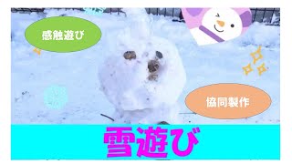 【STEAM保育】雪遊び～STEAM教育をもっと幼児期に～