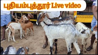 புதியம்புத்தூர் வியாழன்க் கிழமை சந்தை Early Morning தூத்துக்குடி மாவட்டம்  Live Video ஆட்டுசந்தை