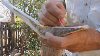 Axing out a wooden spoon blank from avocado timber