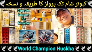 Kabootar ki Sham tak parwaz ka nuskha | World Champion Nuskha | pigeon flying