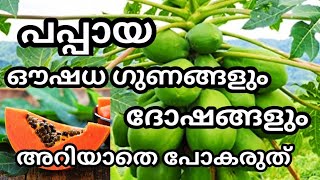 പപ്പായയുടെ ഔഷധ ഗുണങ്ങളും ദോഷങ്ങളും | benefits of pappaya | Reenas Green home | Health tips malayalam