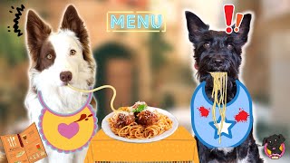 🍔RESTAURANTE para PERROS🤪Lana Y Mel!