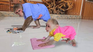 Try not to laugh😂Monkey Su naughty drags Kuku clean house help mom