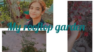 my rooftop garden  🌲আমার ছাদ বাগান ‼️‼️ #garden #esha #music #vlog