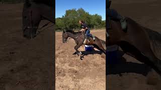 Here is the raw for those that asked! #swagger #horse #horseracing #rodeo