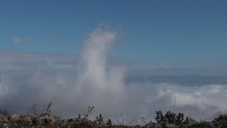 Израиль. Северный округ. Небесные волны ,утренняя радуга и газели.